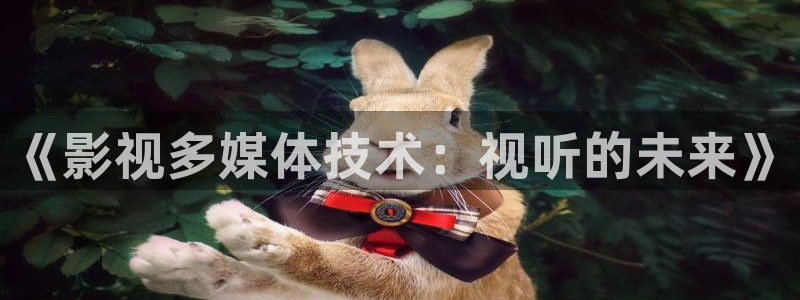 yy 6080影院：《影视多媒体技术：视听的未来》