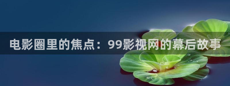 6080电影网：电影圈里的焦点：99影视网的幕后故事