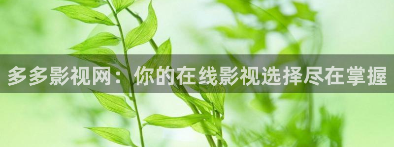 神马电影yy6080：多多影视网：你的在线影视选择尽在掌握