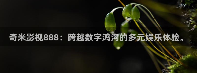 6080在线电影：奇米影视888：跨越数字鸿沟的多元娱乐体验。