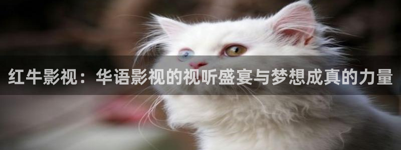 yy6080新视觉：红牛影视：华语影视的视听盛宴与梦想成真的力量